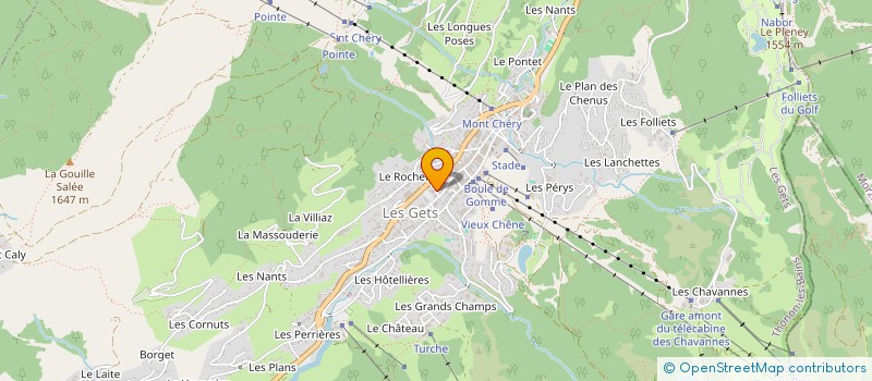 localisation de l'entreprise MONSIEUR ANTHONY DAMNON  LES GETS