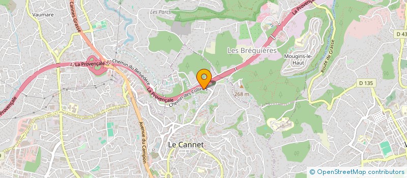 localisation de l'entreprise MONSIEUR ANTHONY DE STEPHANIS à LE CANNET