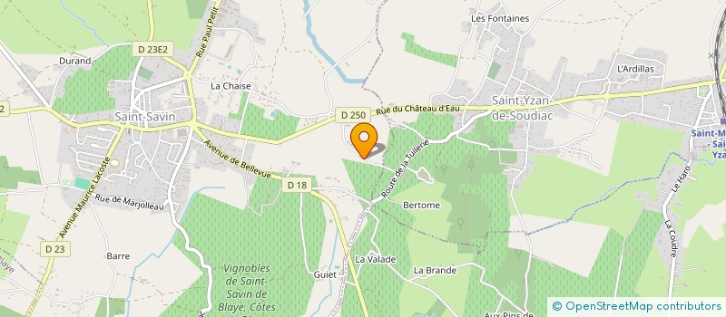 localisation de l'entreprise MONSIEUR ANTHONY DELETOILLE  SAINT-SAVIN