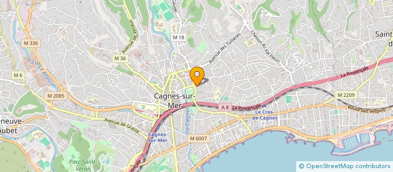 localisation de l'entreprise MONSIEUR ANTHONY DINH  CAGNES-SUR-MER