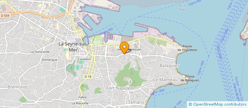 localisation de l'entreprise MONSIEUR ANTHONY FONTANA  LA SEYNE-SUR-MER