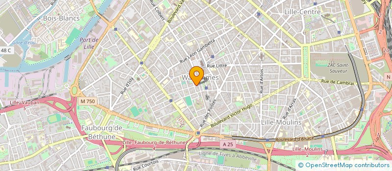 localisation de l'entreprise MONSIEUR ANTHONY FOURNIER à LILLE