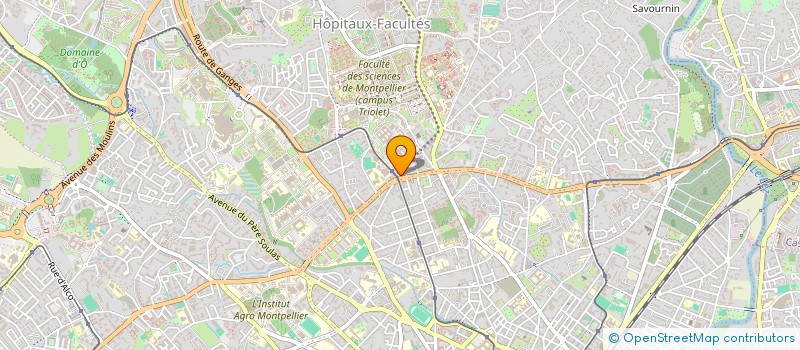 localisation de l'entreprise MONSIEUR ANTHONY GIUDICE à MONTPELLIER