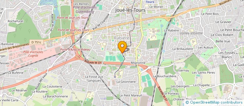 localisation de l'entreprise MONSIEUR ANTHONY HOLDER à JOUE-LES-TOURS