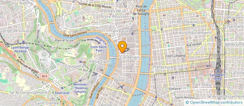 localisation de l'entreprise MONSIEUR ANTHONY JUNIQUE  LYON