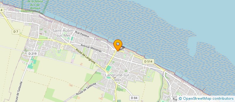 localisation de l'entreprise MONSIEUR ANTHONY LECLUSE  LANGRUNE-SUR-MER