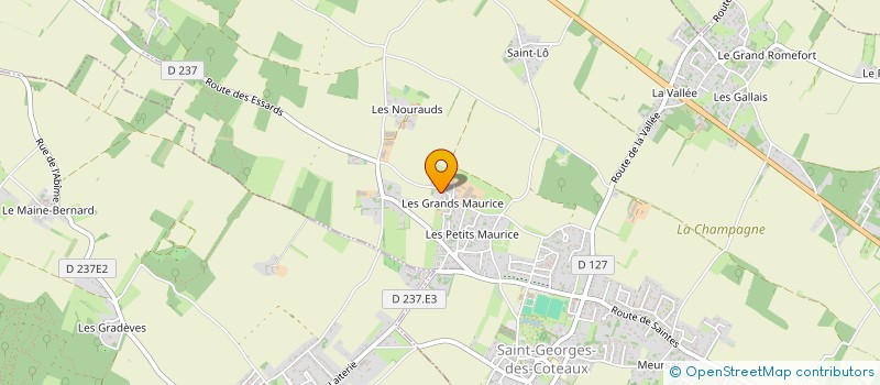 localisation de l'entreprise MONSIEUR ANTHONY LEHMANN  SAINT-GEORGES-DES-COTEAUX