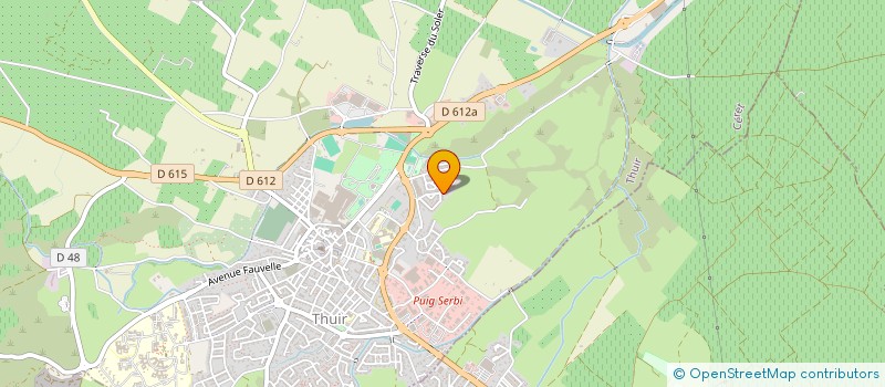 localisation de l'entreprise MONSIEUR ANTHONY LIZE  THUIR