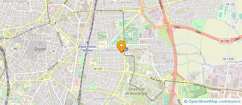 localisation de l'entreprise MONSIEUR ANTHONY MACHADO à DIJON