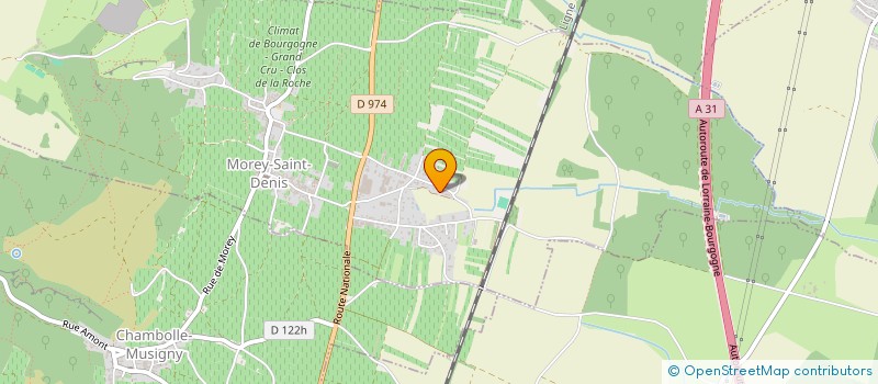 localisation de l'entreprise MONSIEUR ANTHONY MATEUS  MOREY-SAINT-DENIS