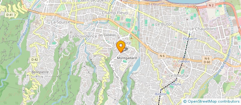 localisation de l'entreprise MONSIEUR ANTHONY MERAULT  SAINT-DENIS