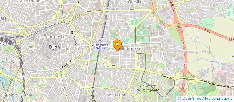 localisation de l'entreprise MONSIEUR ANTHONY MERLE à DIJON