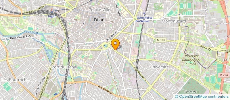 localisation de l'entreprise MONSIEUR ANTHONY MONTZIOLS MOTTE  DIJON