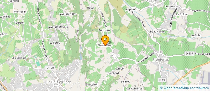 localisation de l'entreprise MONSIEUR ANTHONY MOREL  MOIRE