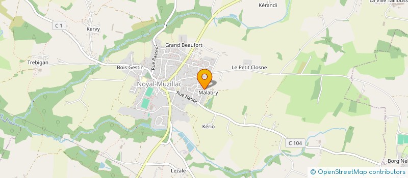 localisation de l'entreprise MONSIEUR ANTHONY MORILLON  NOYAL-MUZILLAC