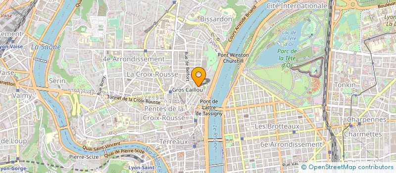 localisation de l'entreprise MONSIEUR ANTHONY MUSSO à LYON