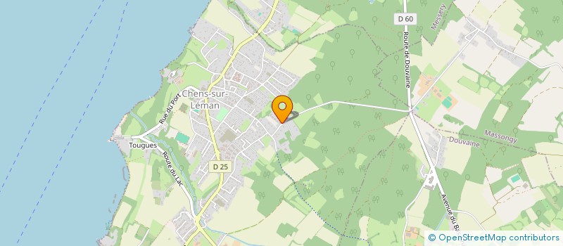 localisation de l'entreprise MONSIEUR ANTHONY NAURAYE  CHENS-SUR-LEMAN