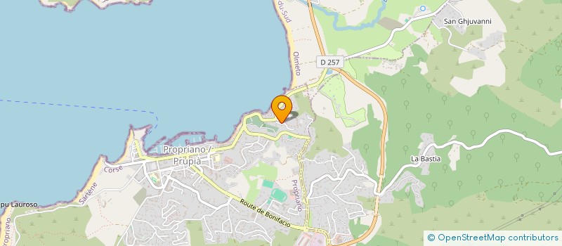 localisation de l'entreprise MONSIEUR ANTHONY PIANELLI  VIGGIANELLO