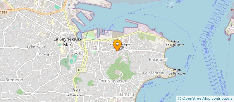 localisation de l'entreprise MONSIEUR ANTHONY POLISSET  LA SEYNE-SUR-MER