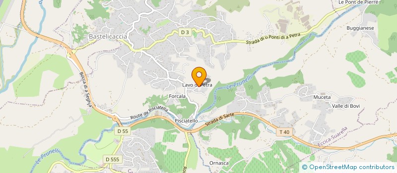 localisation de l'entreprise MONSIEUR ANTHONY RECCHI  BASTELICACCIA