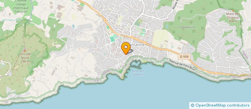 localisation de l'entreprise MONSIEUR ANTHONY REGNAUD  LA CRAU