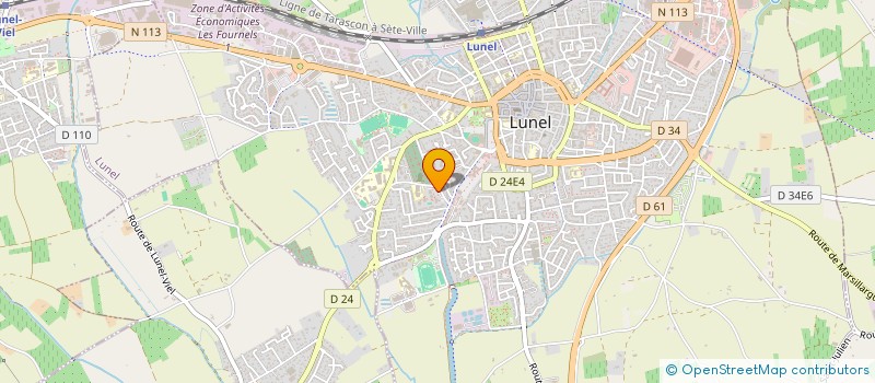 localisation de l'entreprise MONSIEUR ANTHONY RICAUD  LUNEL