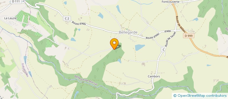 localisation de l'entreprise MONSIEUR ANTHONY RIFFAUD  BELLEGARDE-MARSAL