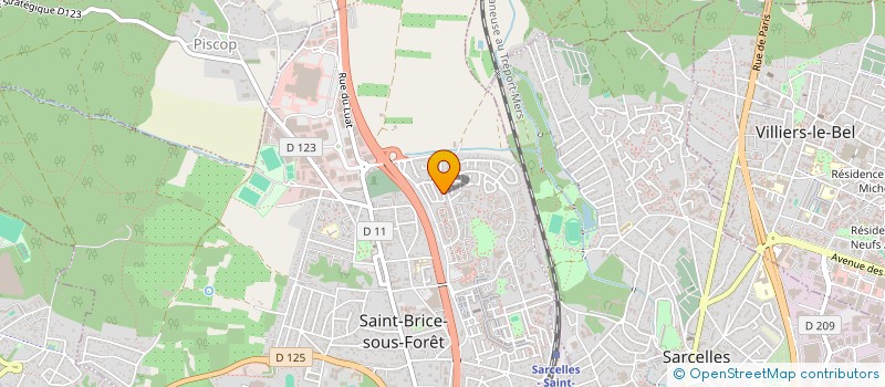 localisation de l'entreprise MONSIEUR ANTHONY RIOU à SAINT-BRICE-SOUS-FORET