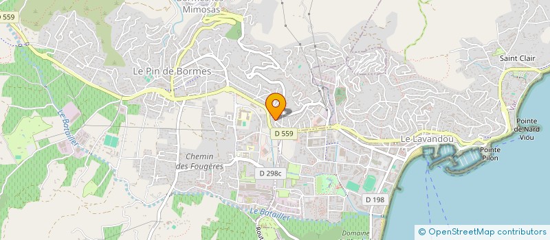 localisation de l'entreprise MONSIEUR ANTHONY ROUX  BORMES-LES-MIMOSAS