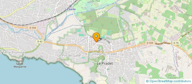 localisation de l'entreprise MONSIEUR ANTHONY SERPENTE  LE PRADET