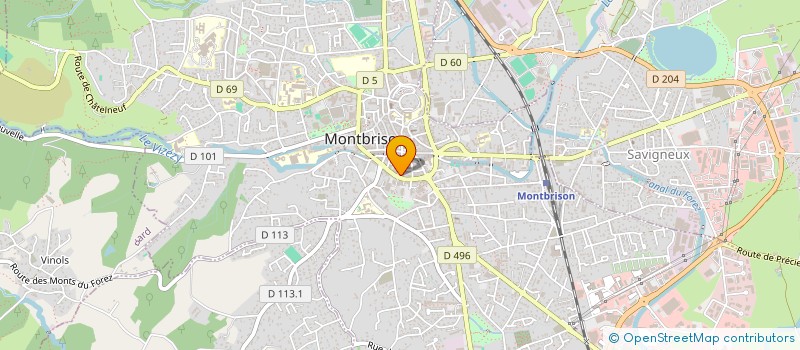 localisation de l'entreprise MONSIEUR ANTHONY SERVAULT  MONTBRISON