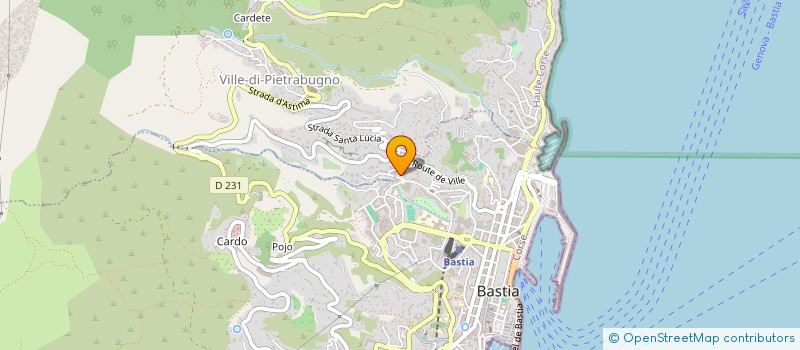 localisation de l'entreprise MONSIEUR ANTHONY SERVETTO à BASTIA