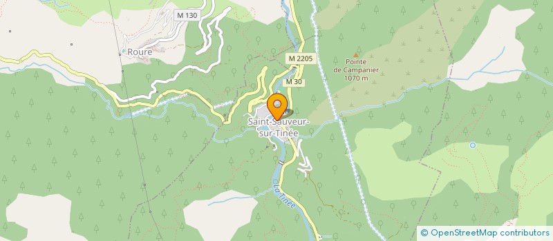 localisation de l'entreprise MONSIEUR ANTHONY TOPPI à SAINT-SAUVEUR-SUR-TINEE