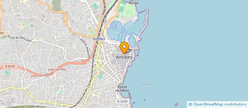 localisation de l'entreprise MONSIEUR ANTHONY TOVO à ANTIBES