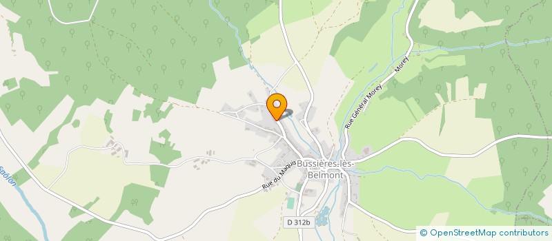 localisation de l'entreprise MONSIEUR ANTHONY VIARDOT à CHAMPSEVRAINE