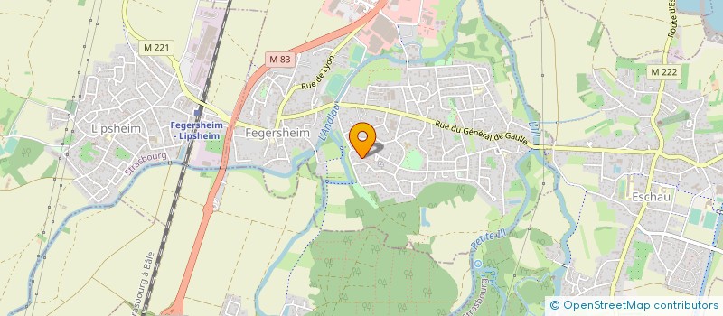 localisation de l'entreprise MONSIEUR ANTHONY VIGUIER  FEGERSHEIM