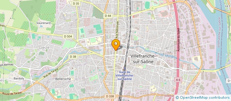 localisation de l'entreprise MONSIEUR ANTHONY VIOLON  VILLEFRANCHE-SUR-SAONE