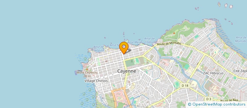 localisation de l'entreprise MONSIEUR ANTHONY WIDEROWSKI  CAYENNE