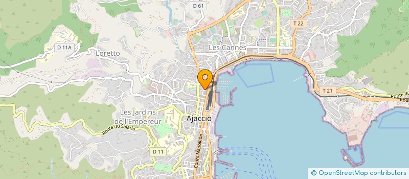 localisation de l'entreprise MONSIEUR ANTOINE ANTONINI à AJACCIO