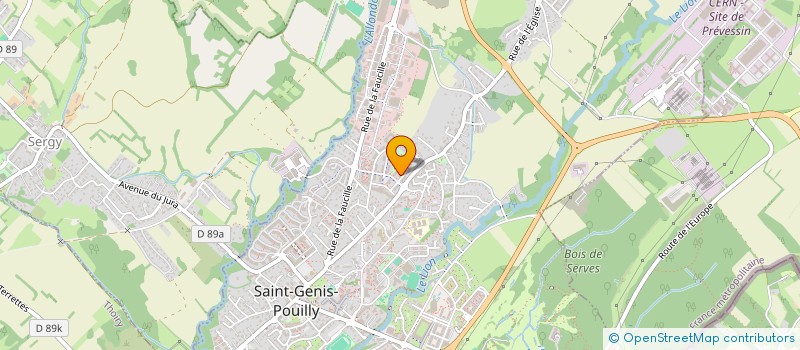 localisation de l'entreprise MONSIEUR ANTOINE BLAISING à SAINT-GENIS-POUILLY