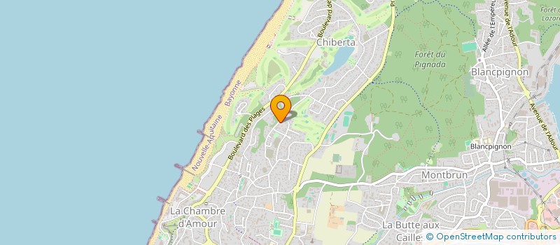 localisation de l'entreprise MONSIEUR ANTOINE COURANT  ANGLET