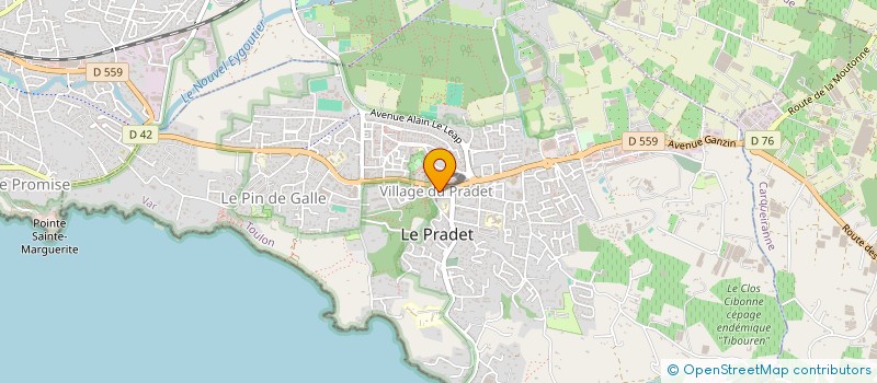 localisation de l'entreprise MONSIEUR ANTOINE CROCE  LE PRADET