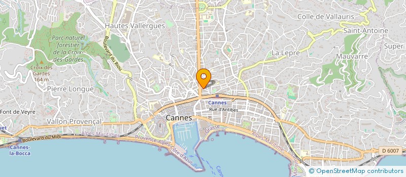 localisation de l'entreprise MONSIEUR ANTOINE DINI  CANNES