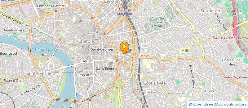 localisation de l'entreprise MONSIEUR ANTOINE DUCHEMIN à TOULOUSE