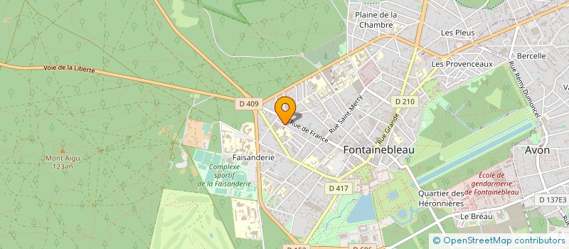 localisation de l'entreprise MONSIEUR ANTOINE FELLETIN à FONTAINEBLEAU