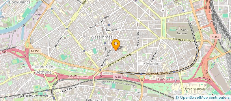 localisation de l'entreprise MONSIEUR ANTOINE GUIOT  LILLE