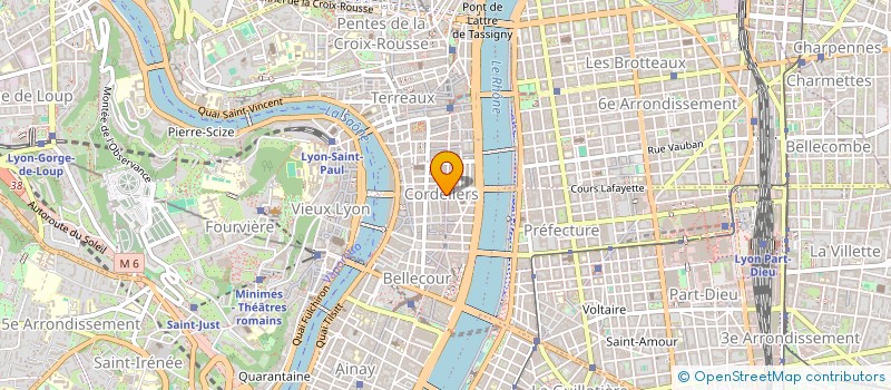 localisation de l'entreprise MONSIEUR ANTOINE JACOUD à LYON