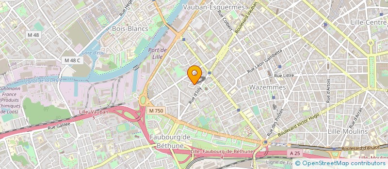localisation de l'entreprise MONSIEUR ANTOINE LOOTENS à LILLE