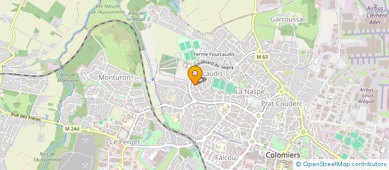 localisation de l'entreprise MONSIEUR ANTOINE MACEDO à COLOMIERS
