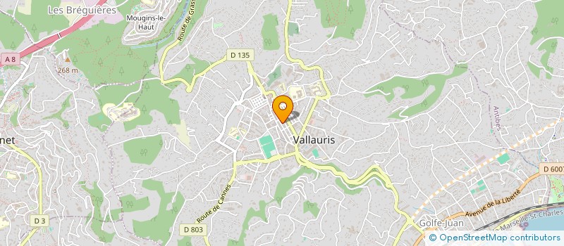 localisation de l'entreprise MONSIEUR ANTOINE MAISTRE à VALLAURIS